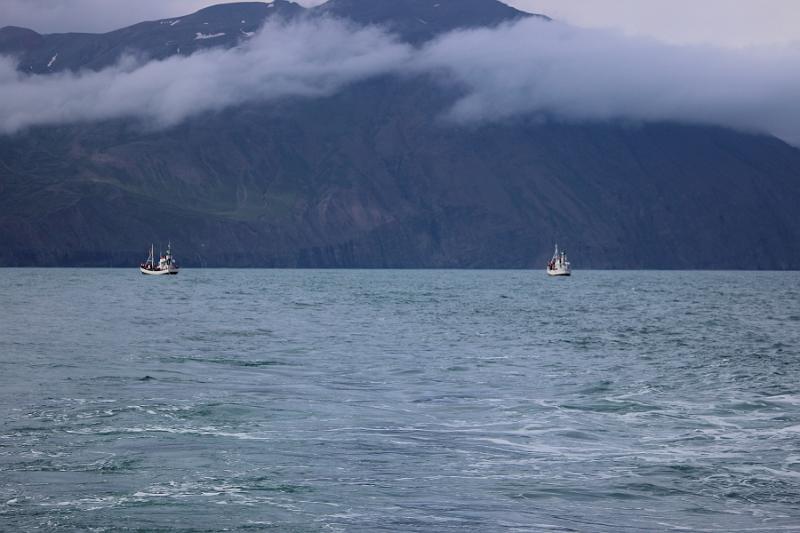 iceland526.JPG - Whale Watching and Puffins Tour from Husavik 