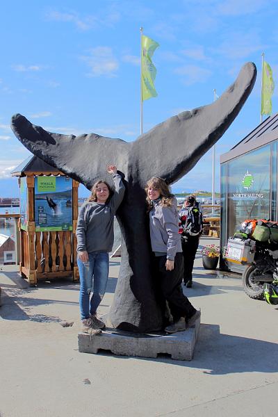 iceland530.JPG - Harbour of Husavik, a fishing village in Northern Iceland