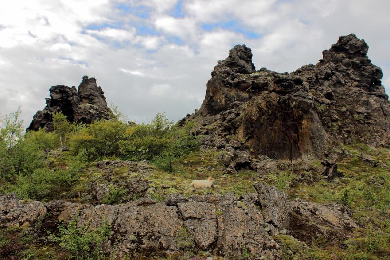 iceland568.JPG - Dimmuborgir lava field