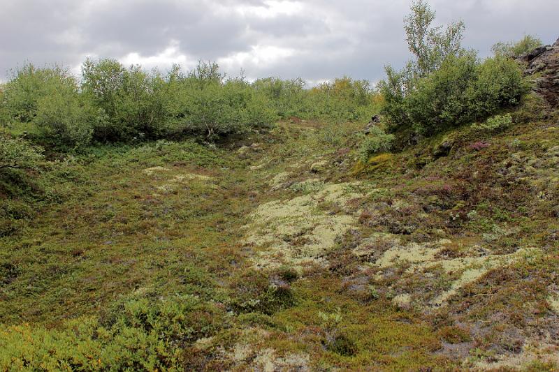 iceland579.JPG - Dimmuborgir lava field