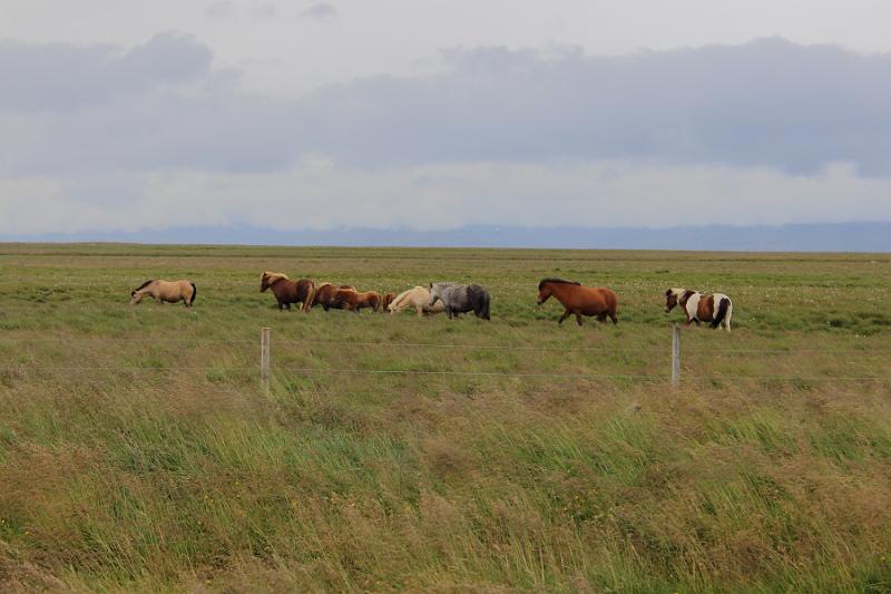 iceland638.JPG - A farm in Blönduós