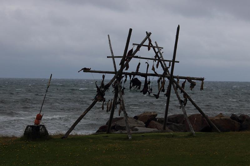 iceland660.JPG - A frame used to dry fish  nearby Broddanes