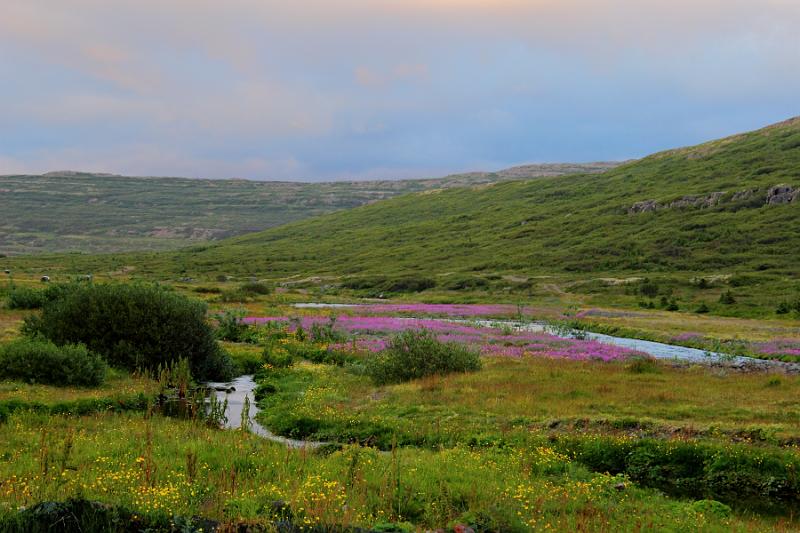 iceland674.JPG - A farm and restaurant in Isafjordur