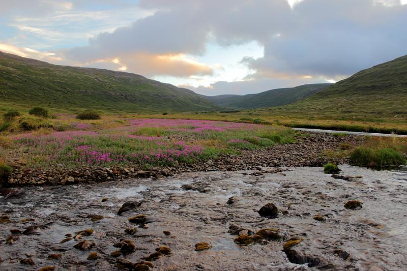 iceland675.JPG - A farm and restaurant in Isafjordur