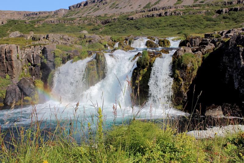 iceland711.JPG - On a trail to Dynjandi waterfalls 