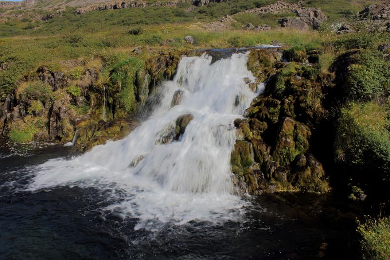 iceland716.JPG - On a trail to Dynjandi waterfalls 