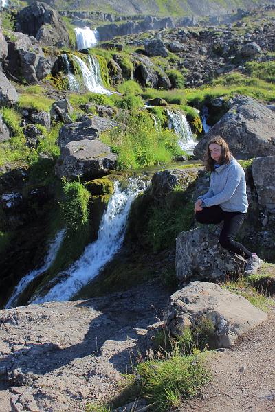 iceland718.JPG - On a trail to Dynjandi waterfalls 