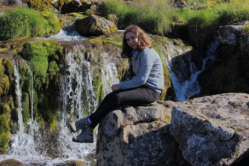 iceland720.JPG - On a trail to Dynjandi waterfalls 