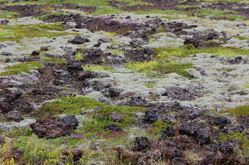 iceland751.JPG - Snaefellsjokull park, Saxholl