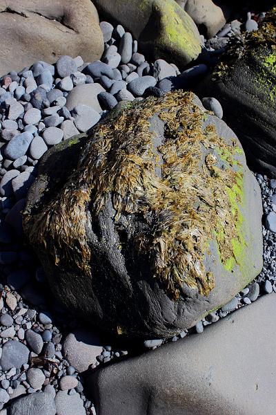 iceland759.JPG - The Hellnar Arch