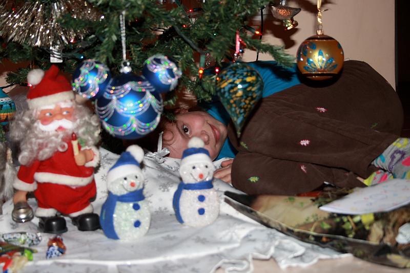 isr057.JPG - New Year tree 2015