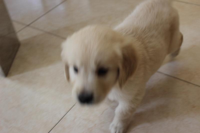 isr093.JPG - Johny at home