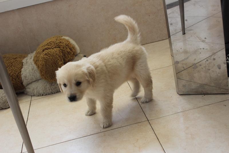 isr094.JPG - Johny at home