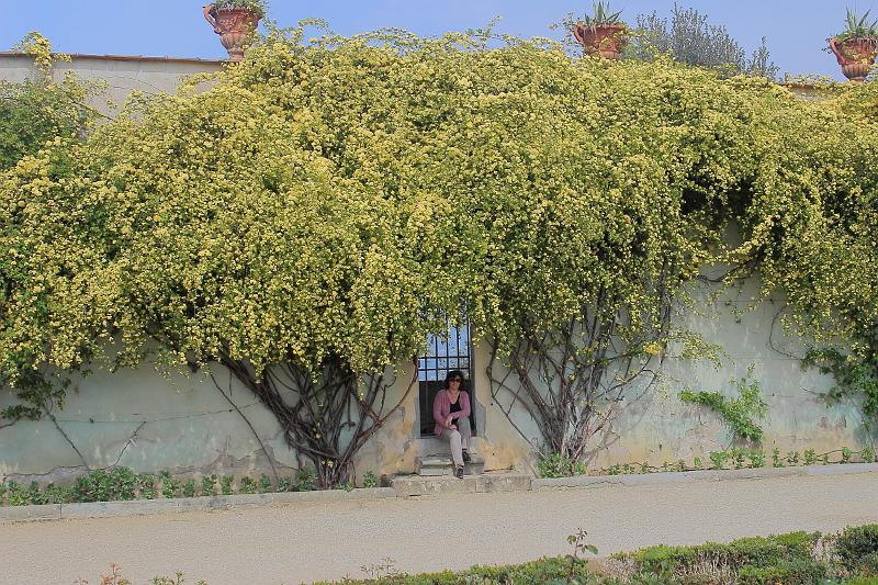 italy0213.JPG - Boboli Gardens