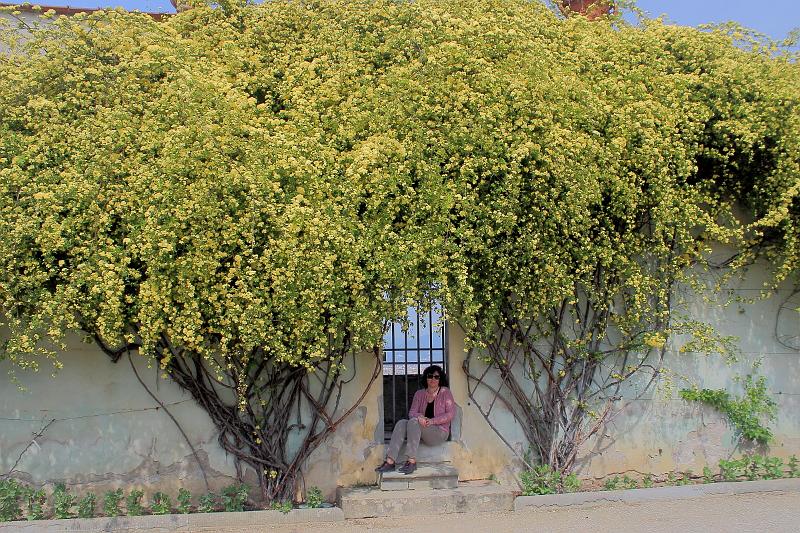 italy0214.JPG - Boboli Gardens