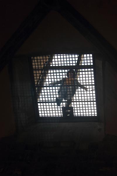 italy0280.JPG - In the Giotto's Bell Tower