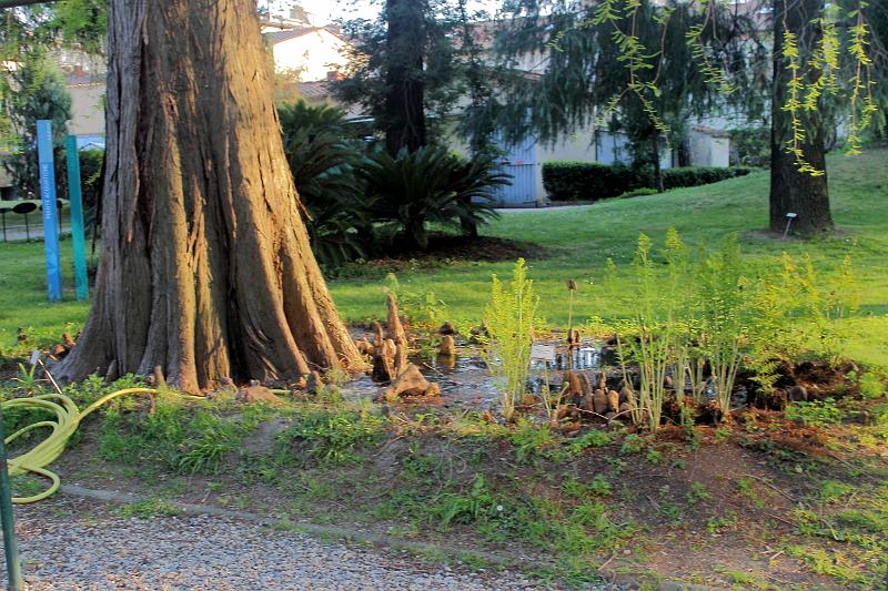 italy0291.JPG - Botanical Garden