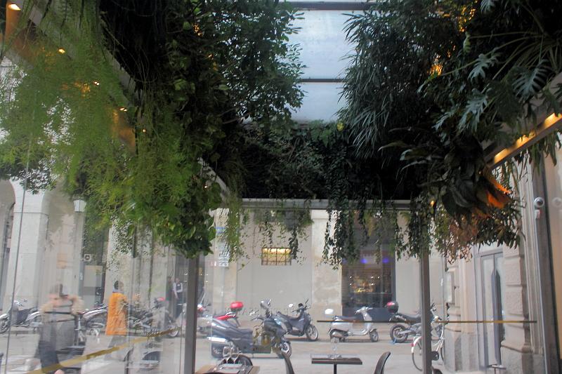 italy0051.JPG - Vertical Garden in the Café Trussardi