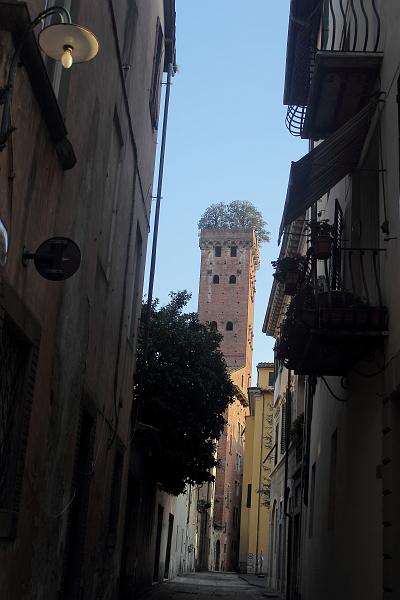 italy0358.JPG - The Guinigi Tower