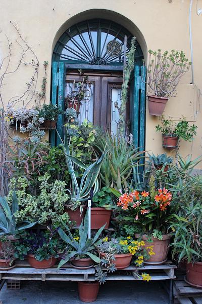 italy0367.JPG - A window on the  Lucca's Oval Square