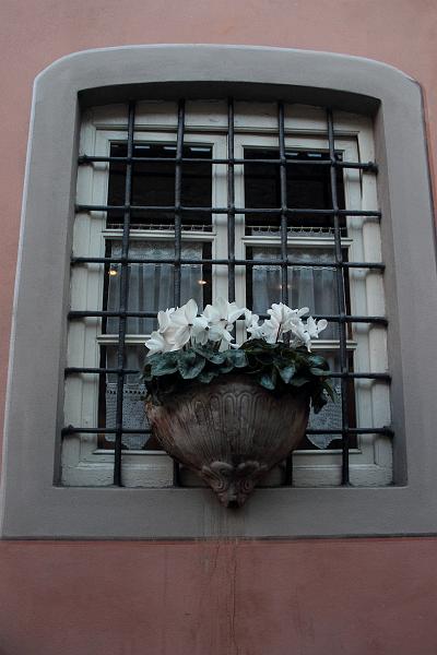 italy0368.JPG - A window on the  Lucca's Oval 