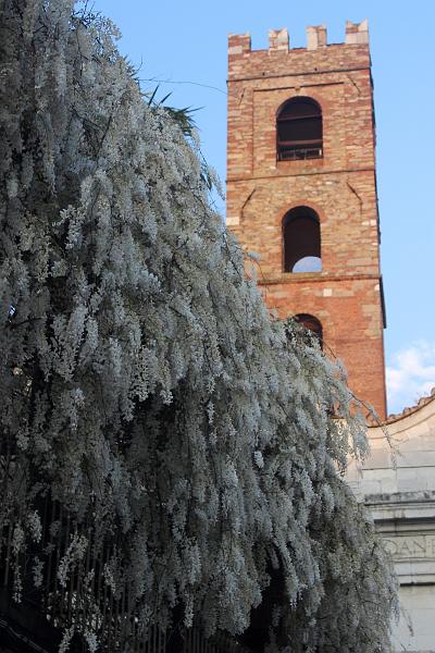 italy0372.JPG - Tower of Church of the Saint John Saint Reparata, Lucca