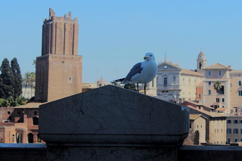 italy0157.JPG - Atop Victor Emmanuel II Monument