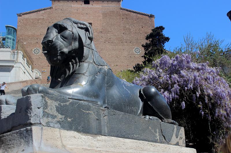 italy0181.JPG - Piazza del Campidoglio: One of two lions in basalt that flank the foot of the Cordonata