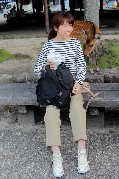 japan0288.JPG - White tail deers on the Miyajima Island