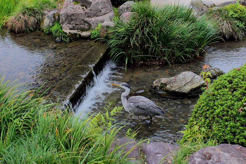 japan0526.JPG - Kenroku-en Garden