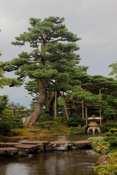 japan0528.JPG - Kenroku-en Garden