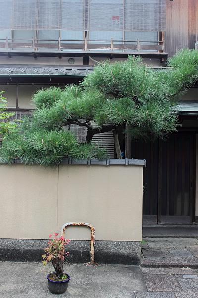 japan0014.JPG - A house near Yasui Konpira-gu Shrine 