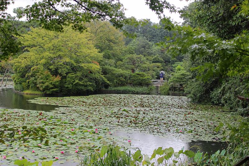 japan0051.JPG - Kyoyo-chi pond of Ryoan-ji