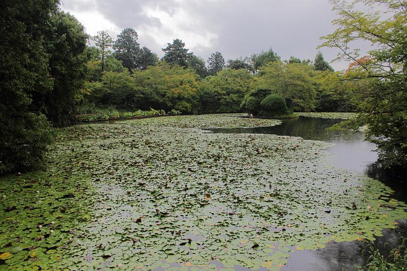 japan0052.JPG - Kyoyo-chi pond of Ryoan-ji