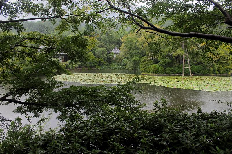 japan0063.JPG - Kyoyo-chi pond of Ryoan-ji