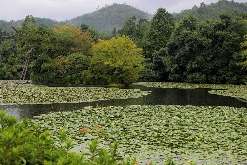japan0064.JPG - Kyoyo-chi pond of Ryoan-ji