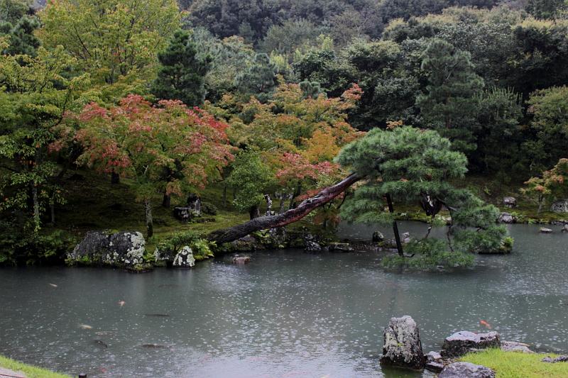 japan0092.JPG - Tenryu-ji Sogenchi Garden