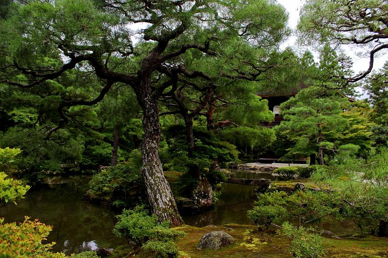 japan0126.JPG - Ginkakuji Temple (Silver Pavilion) 