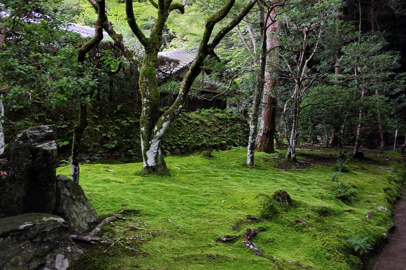 japan0139.JPG - Honen-in Temple on the Philosopher's Walk