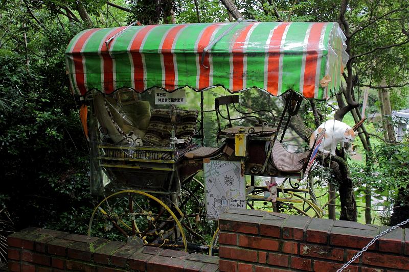 japan0144.JPG - The Cats of Nyakuouji shrine on the Philosopher's Walk