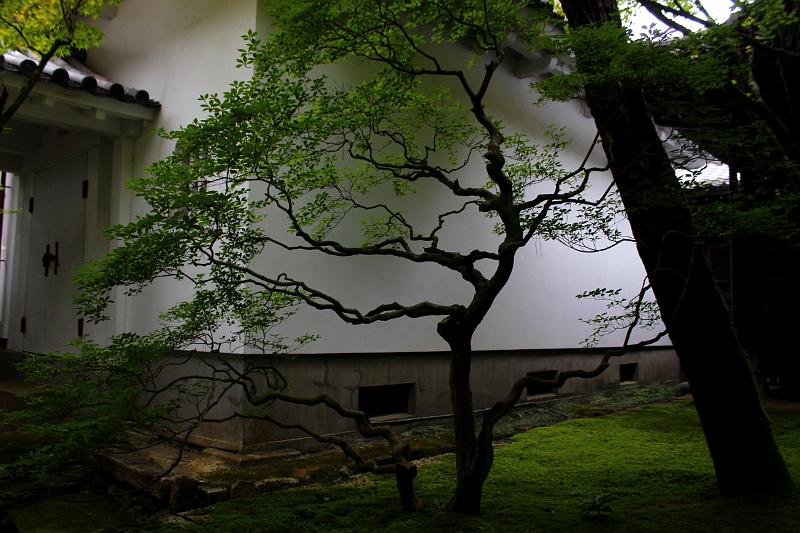 japan0162.JPG - Eikando Zenrinji Temple