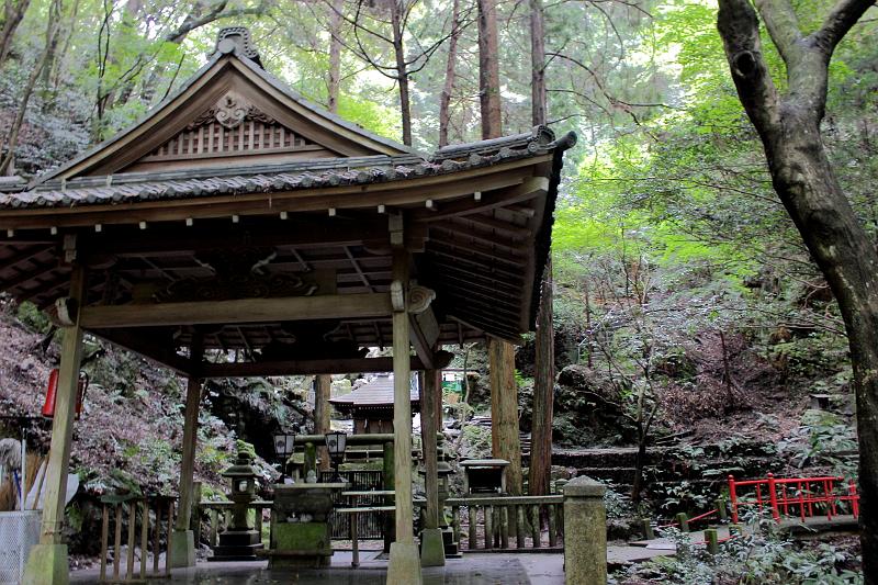 japan0182.JPG - In the Higashiyama mountains forest