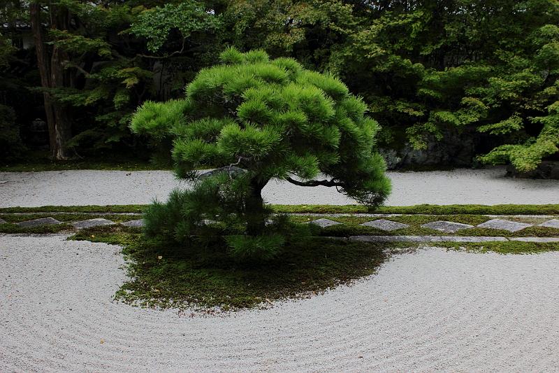 japan0185.JPG - Tenjuan Garden