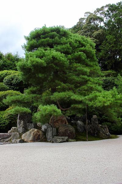 japan0193.JPG - Konchi-in Temple Garden