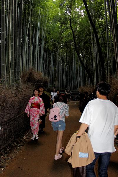 japan0239.JPG - Bamboo forest near Tenryu-ji Temple