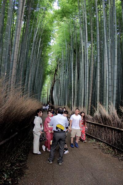 japan0240.JPG - Bamboo forest near Tenryu-ji Temple