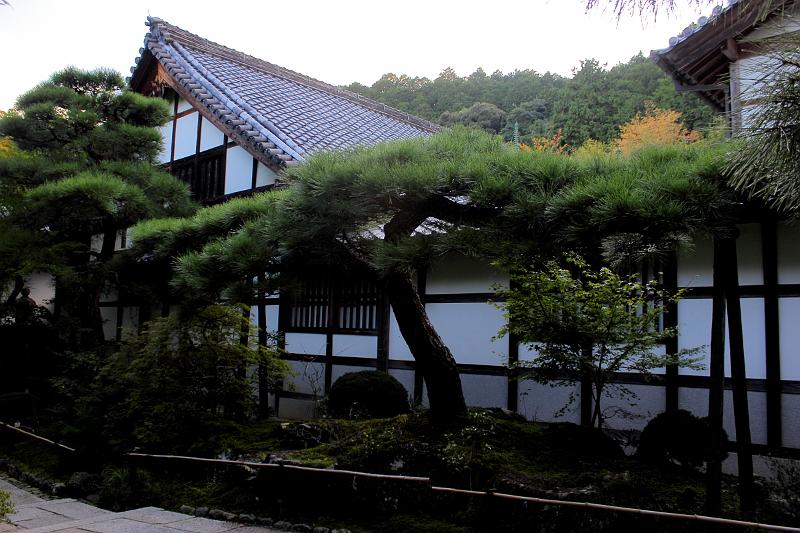 japan0245.JPG - Jojakko-ji Temple in Arashiyama