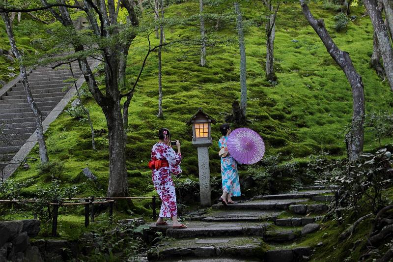 japan0248.JPG - Moss in Jojakko-ji Temple in Arashiyama