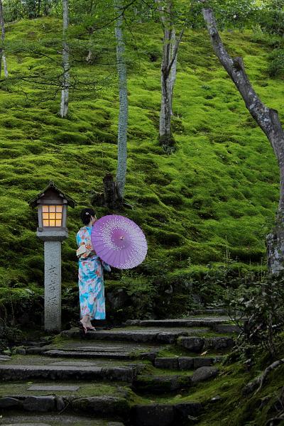 japan0249.JPG - Moss in Jojakko-ji Temple in Arashiyama