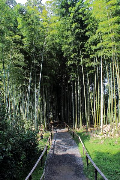 japan0579.JPG - Bamboo grove in the Kodaiji Temple